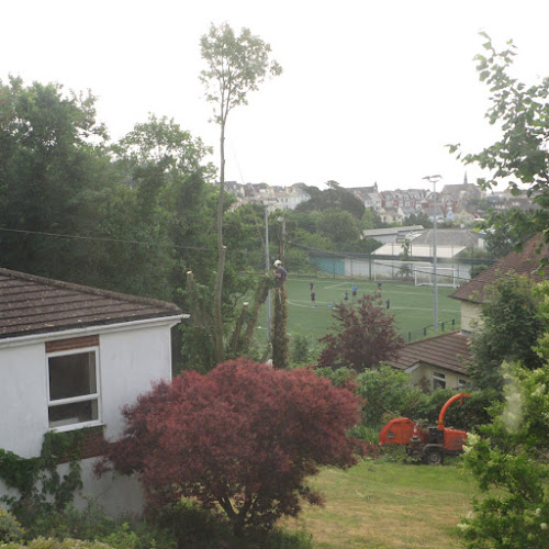 How High Can a Garden Fence Be