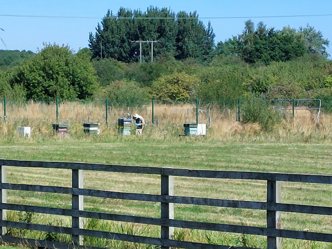 How High Can a Garden Fence Be