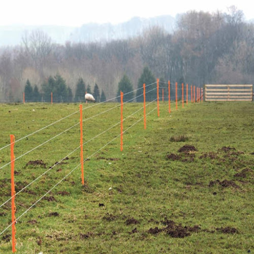 E Reynolds Fencing