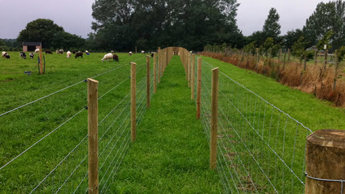 How High Can a Garden Fence Be