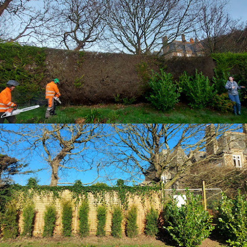 How High Can a Garden Fence Be