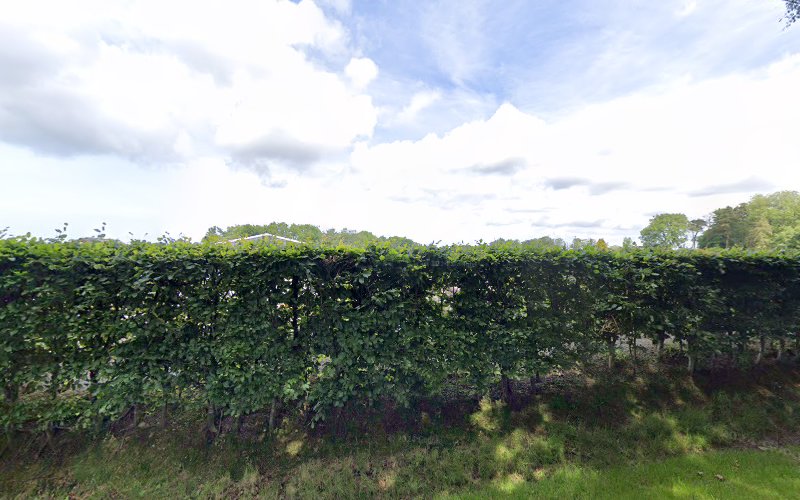 E Reynolds Fencing